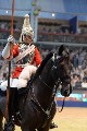 Cavalry - 00315